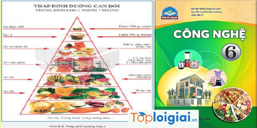 Công Nghệ Lớp 6