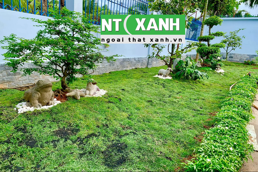 Dịch Vụ Trồng Cây Cảnh Tại Thuận An Bình Dương