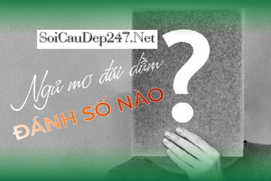 Mơ thấy mình đái trong quần đánh con gì?