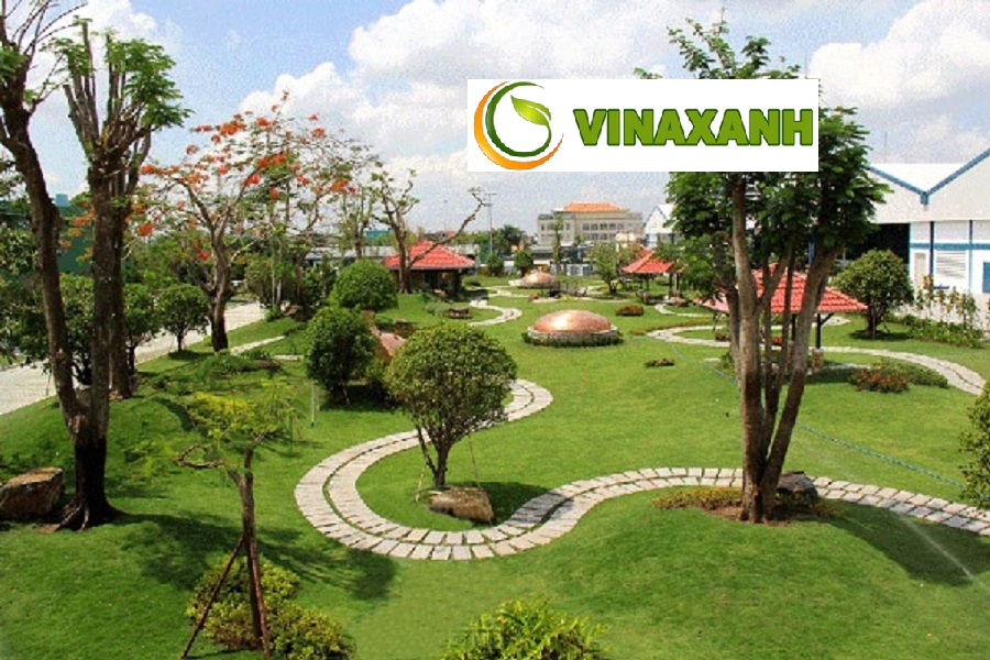 Dịch Vụ Cung Cấp Cây Xanh Tại Quận 12 TP.HCM