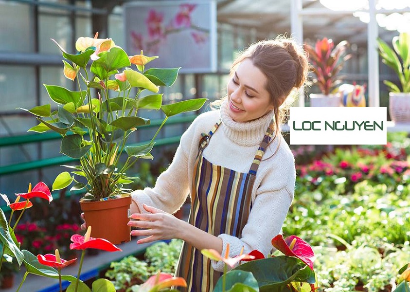 Dịch Vụ Chăm Sóc Cây Cảnh Tại Bến Lức Long An