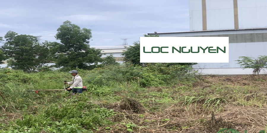 Dịch Vụ Phát Hoang Cỏ Dại KCN Châu Thành Long An