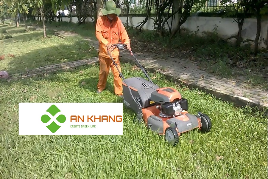 Dịch vụ cắt cỏ tại KCN Dĩ An Bình Dương