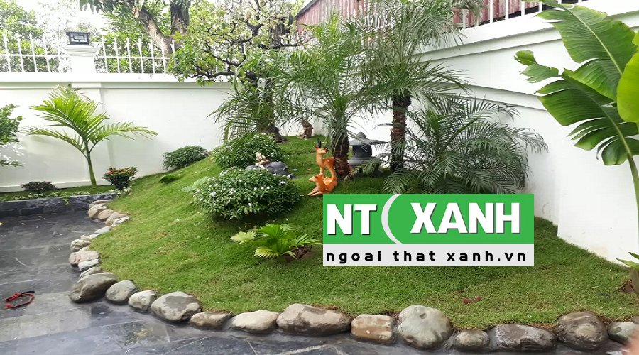 Dịch vụ trồng cây cảnh tại Tây Ninh