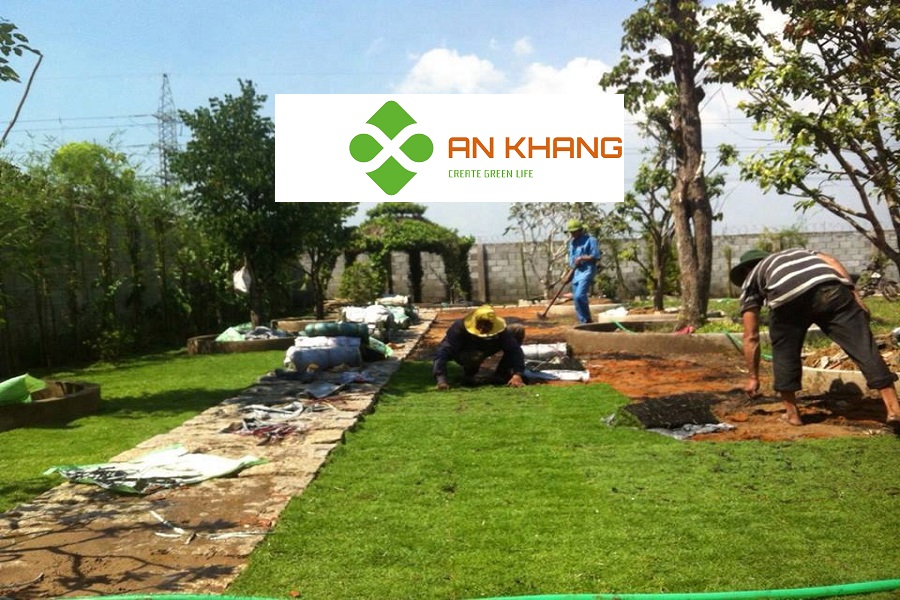 Dịch vụ trồng cỏ Bến Cát Bình Dương