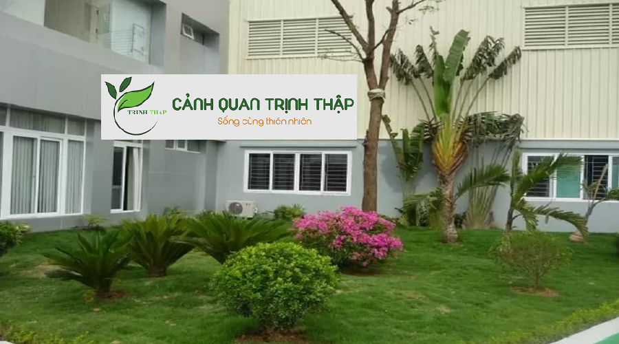 Thi Công Tiểu Cảnh Sân Vườn Tại Hoàn Kiếm Hà Nội