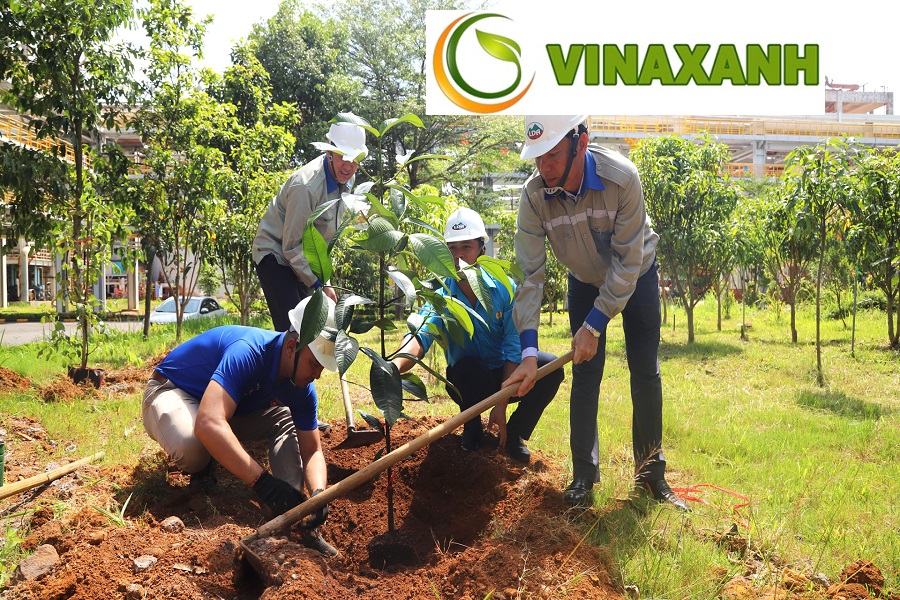 Trồng Cây Xanh Tại Thủ Đức TP.HCM