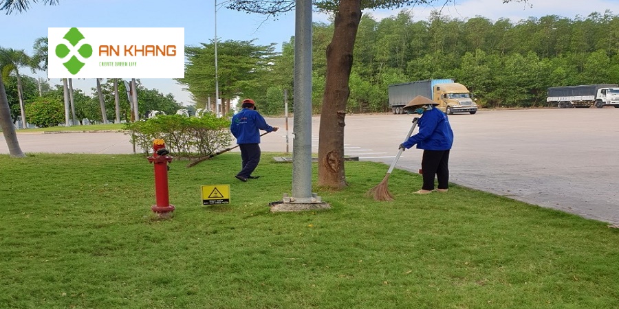Dịch vụ phát cỏ hoang tại Bình Dương