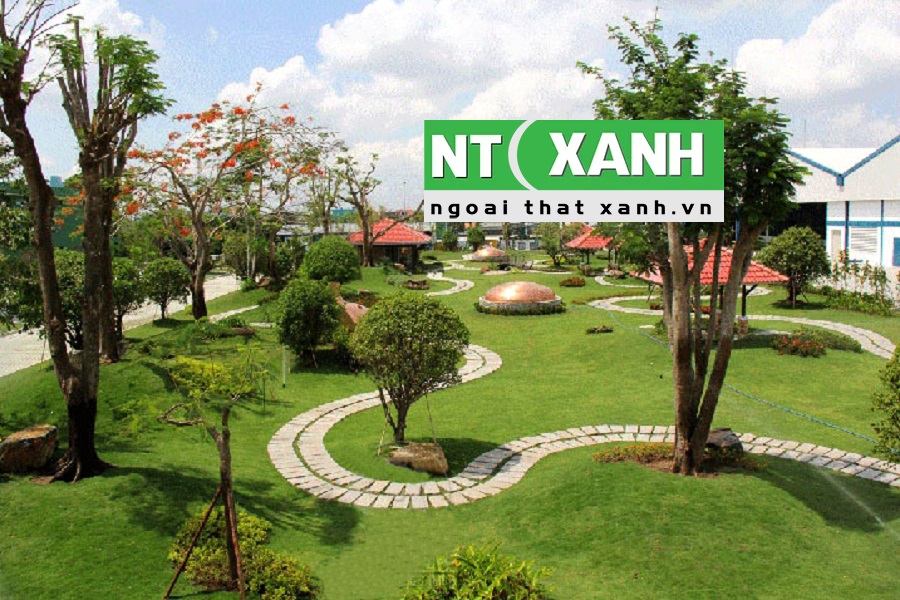 Dịch Vụ Trồng Cây Xanh Tại Tân An Tây Ninh
