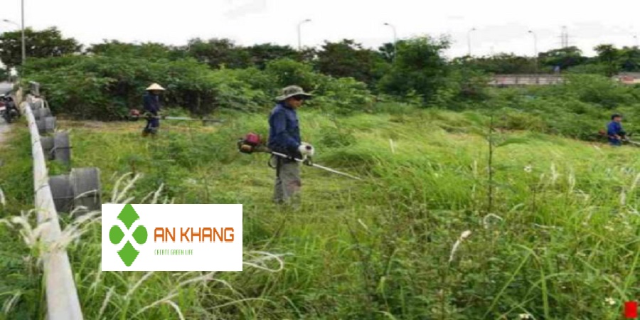Dịch vụ phát cỏ hoang tại Bình Dương