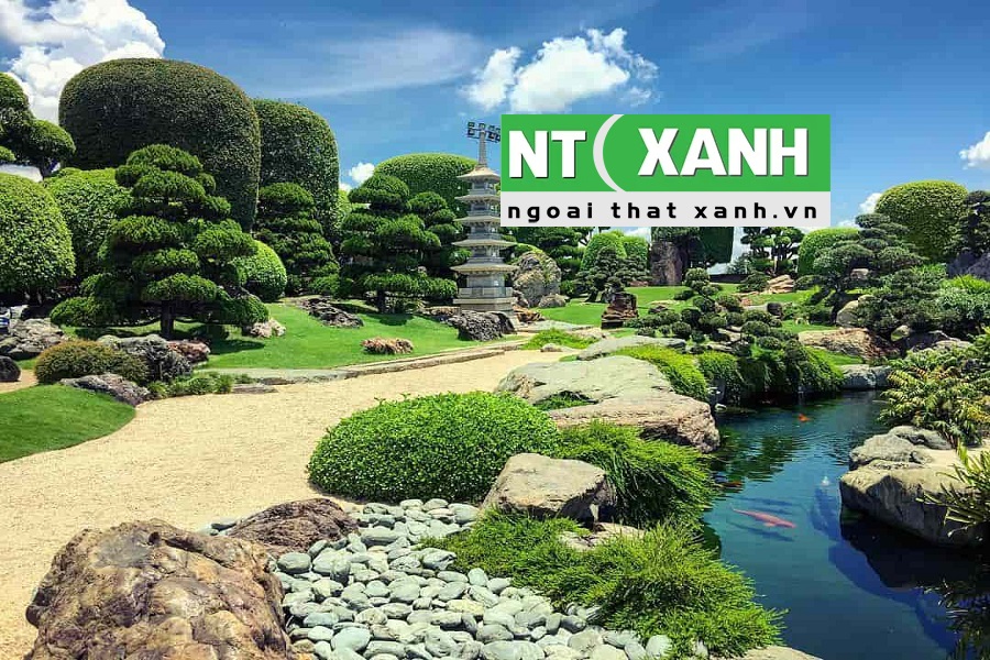 Giới Thiệu Dịch vụ trồng cây cảnh tại Cần Giuộc Long An