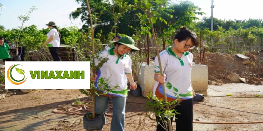 Trồng cây xanh tại quận Củ Chi TP.HCM