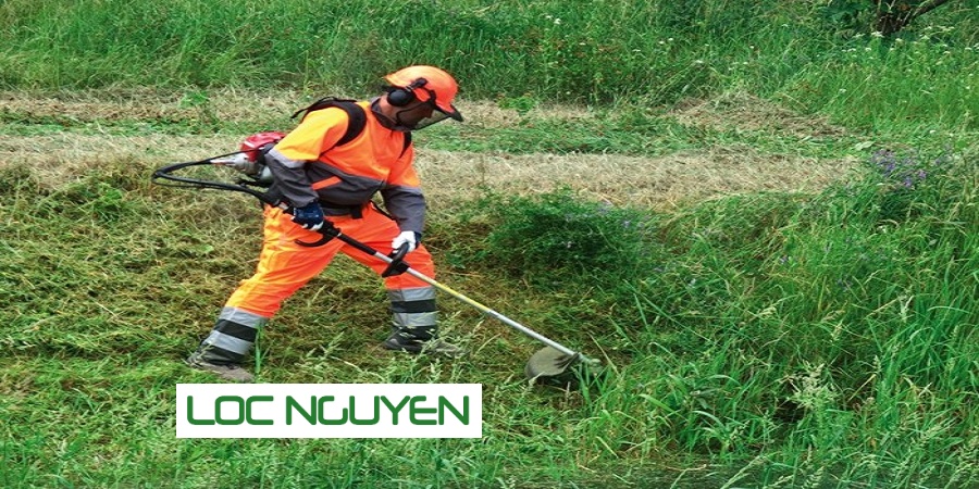 Dịch Vụ Phát Hoang Cỏ Dại KCN Cần Giuộc Long An