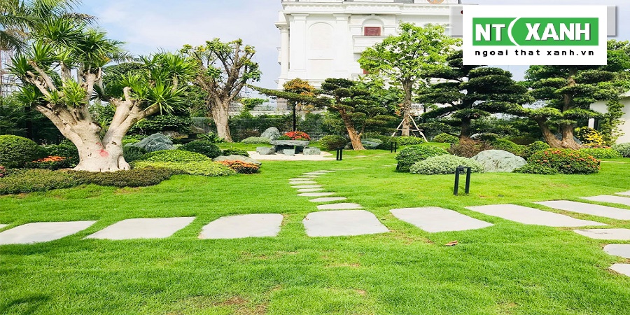Dịch vụ trồng cây cảnh tại Dĩ An Bình Dương