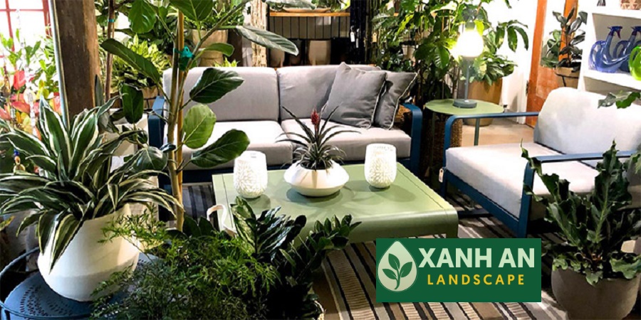 Cho thuê cây xanh nội thất Bình Dương