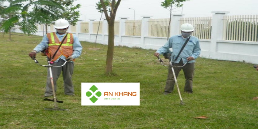 Dịch Vụ Phát Cỏ Hoang Bình Dương