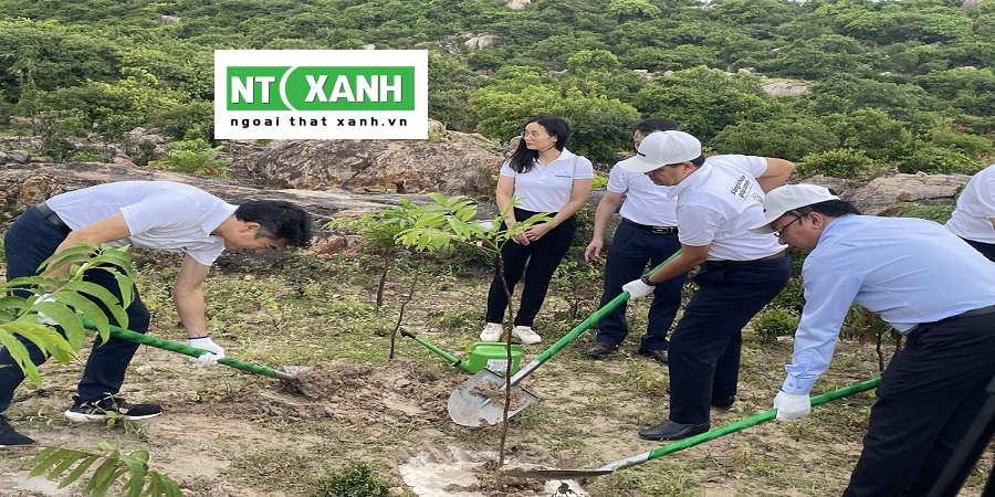 Dịch Vụ Trồng Cây Xanh Tại TP.HCM
