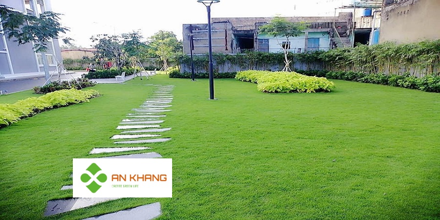 Dịch Vụ Trồng Cỏ Tại Bình Dương