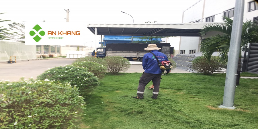 Dịch vụ cắt cỏ KCN Bình Dương