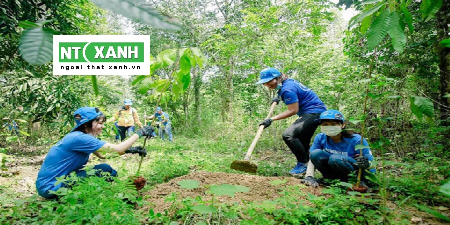 Dịch vụ trồng cây cảnh tại Long An
