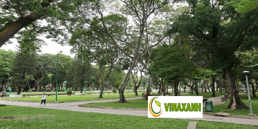 Trồng Cây Xanh Tại Quận 1 TP.HCM