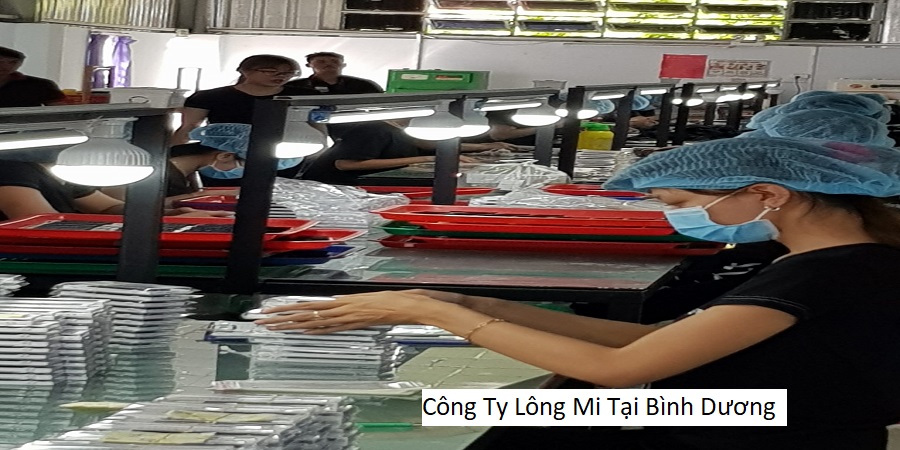 Công Ty Lông Mi Tại Bình Dương