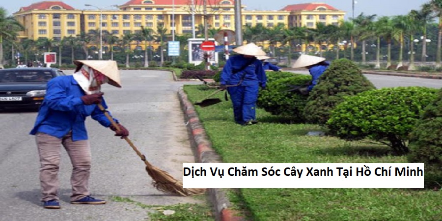 Dịch Vụ Chăm Sóc Cây Xanh Tại Hồ Chí Minh