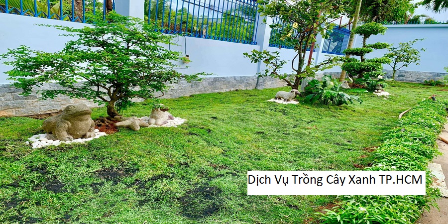 Dịch Vụ Trồng Cây Xanh TP.HCM