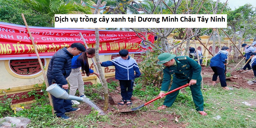 Dịch vụ trồng cây xanh tại Dương Minh Châu Tây Ninh