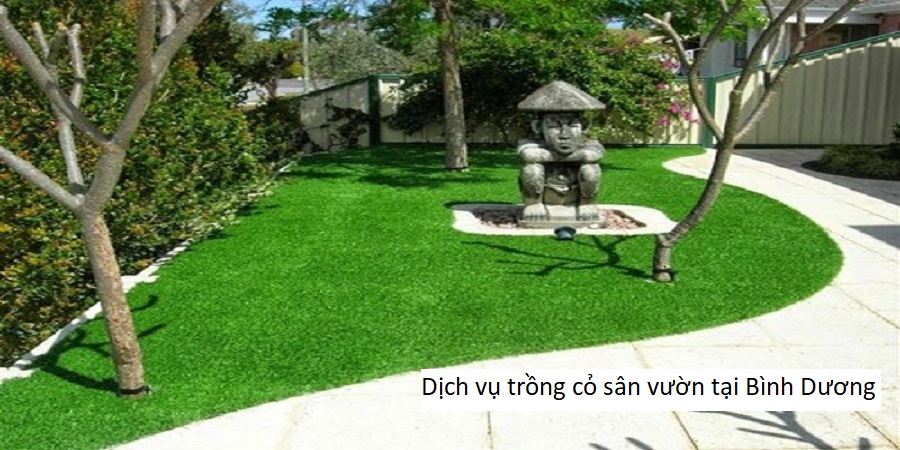 Dịch vụ trồng cỏ sân vườn tại Bình Dương