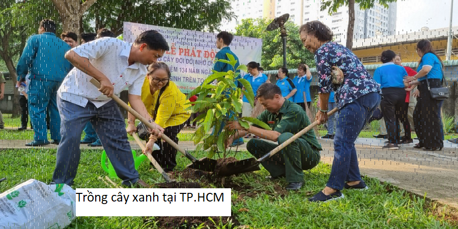 Trồng cây xanh tại TP.HCM