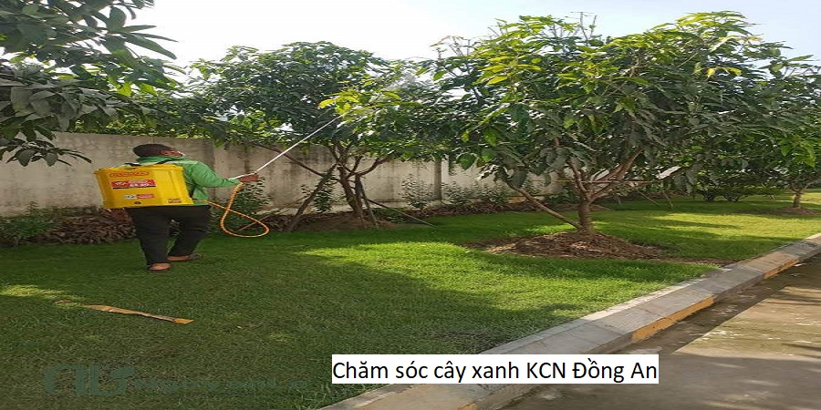 Chăm sóc cây xanh KCN Đồng An