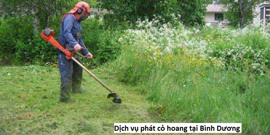 Dịch vụ phát cỏ hoang tại Bình Dương